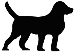 hund2