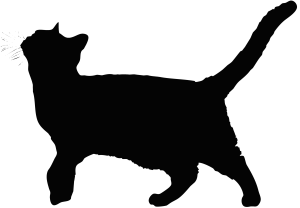 katt2