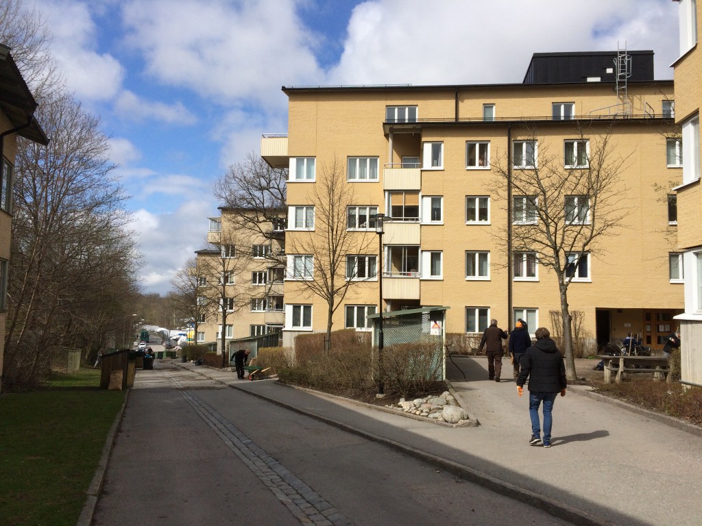 20160424_vårstädning4